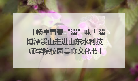 畅享青春“淄”味！淄博潭溪山走进山东水利技师学院校园美食文化节