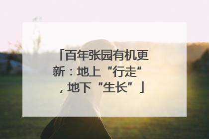 百年张园有机更新：地上“行走”，地下“生长”