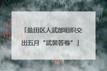 盐田区人武部组织交出五月“武装答卷”