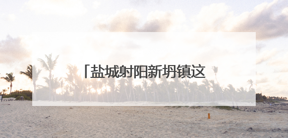 盐城射阳新坍镇这场宣讲，村民抢着听，句句说到心坎！