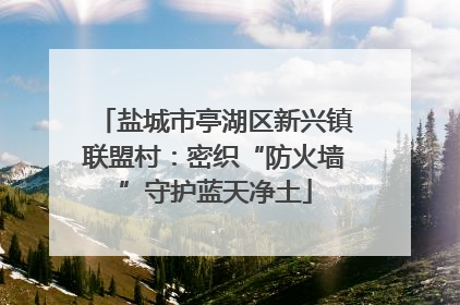 盐城市亭湖区新兴镇联盟村：密织“防火墙”守护蓝天净土