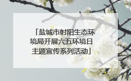 盐城市射阳生态环境局开展六五环境日主题宣传系列活动