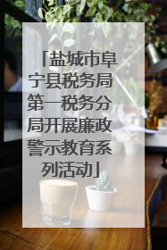 盐城市阜宁县税务局第一税务分局开展廉政警示教育系列活动