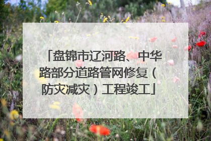 盘锦市辽河路、中华路部分道路管网修复（防灾减灾）工程竣工