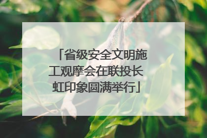 省级安全文明施工观摩会在联投长虹印象圆满举行