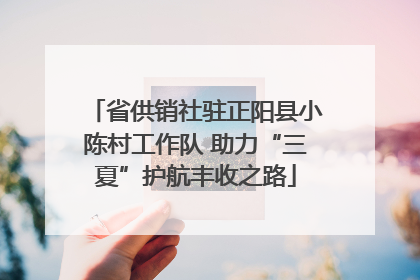 省供销社驻正阳县小陈村工作队 助力“三夏”护航丰收之路