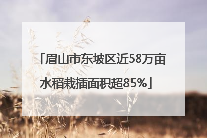 眉山市东坡区近58万亩水稻栽插面积超85%
