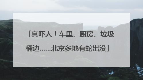 真吓人！车里、厨房、垃圾桶边……北京多地有蛇出没
