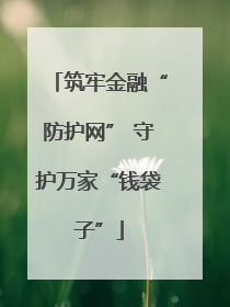 筑牢金融“防护网” 守护万家“钱袋子”
