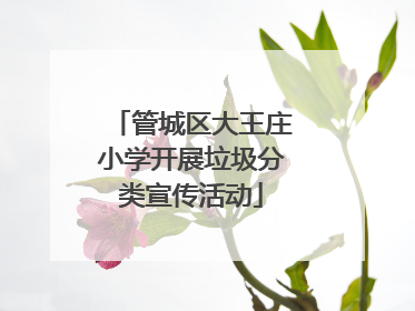 管城区大王庄小学开展垃圾分类宣传活动