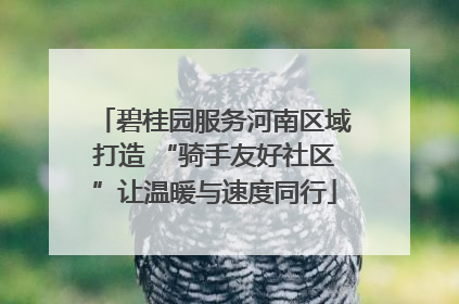 碧桂园服务河南区域打造 “骑手友好社区”让温暖与速度同行