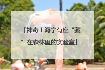 神奇！海宁有座“藏”在森林里的实验室