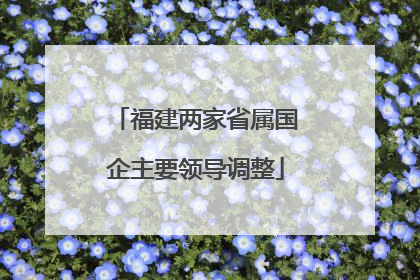 福建两家省属国企主要领导调整