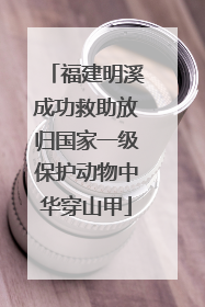 福建明溪成功救助放归国家一级保护动物中华穿山甲