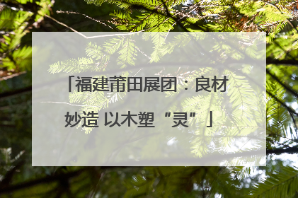 福建莆田展团：良材妙造 以木塑“灵”