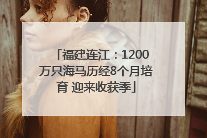 福建连江：1200万只海马历经8个月培育 迎来收获季