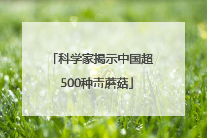 科学家揭示中国超500种毒蘑菇