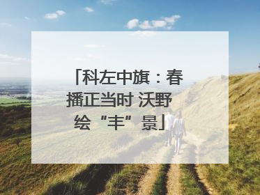 科左中旗：春播正当时 沃野绘“丰”景