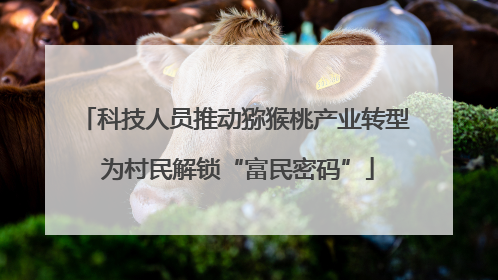 科技人员推动猕猴桃产业转型 为村民解锁“富民密码”