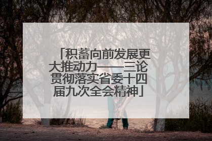 积蓄向前发展更大推动力——三论贯彻落实省委十四届九次全会精神