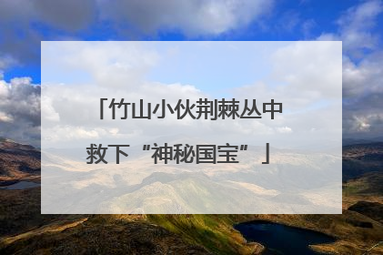 竹山小伙荆棘丛中救下“神秘国宝”