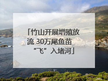 竹山开展增殖放流 30万尾鱼苗“飞”入堵河
