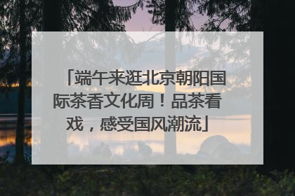 端午来逛北京朝阳国际茶香文化周！品茶看戏，感受国风潮流
