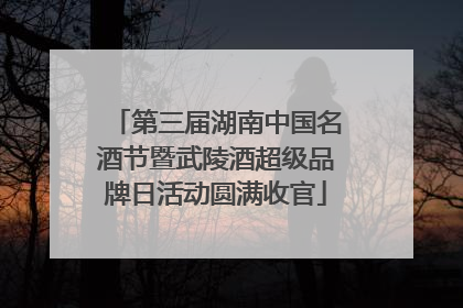第三届湖南中国名酒节暨武陵酒超级品牌日活动圆满收官