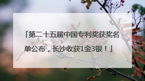 第二十五届中国专利奖获奖名单公布，长沙收获1金3银！