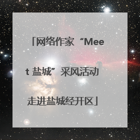 网络作家“Meet 盐城”采风活动走进盐城经开区