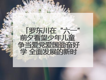 罗东川在“六一”前夕看望少年儿童 争当爱党爱国勤奋好学 全面发展的新时代好少年