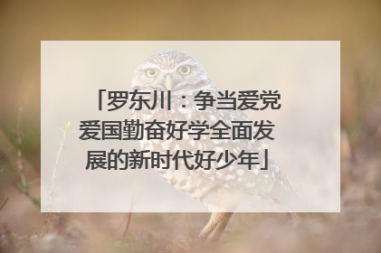 罗东川：争当爱党爱国勤奋好学全面发展的新时代好少年