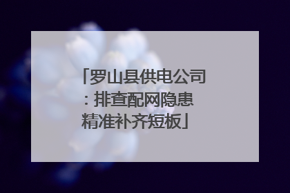 罗山县供电公司：排查配网隐患 精准补齐短板