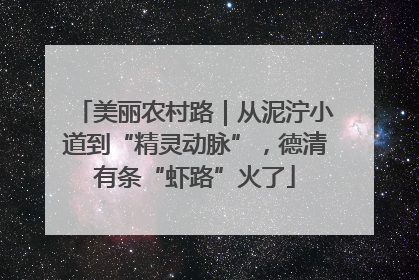 美丽农村路｜从泥泞小道到“精灵动脉”，德清有条“虾路”火了