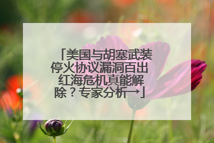 美国与胡塞武装停火协议漏洞百出 红海危机真能解除？专家分析→