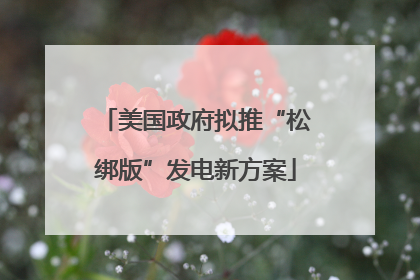 美国政府拟推“松绑版”发电新方案