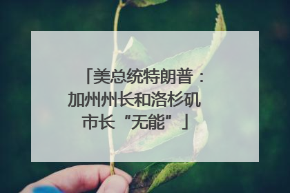 美总统特朗普：加州州长和洛杉矶市长“无能”