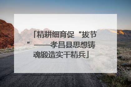精耕细育促“拔节”——孝昌县思想铸魂锻造实干精兵