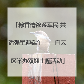 粽香情浓系军民 共话强军迎端午——白云区举办双拥主题活动