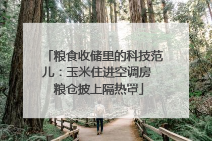粮食收储里的科技范儿：玉米住进空调房 粮仓披上隔热罩