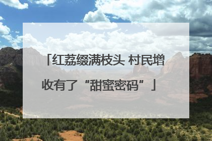 红荔缀满枝头 村民增收有了“甜蜜密码”
