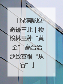 绿满陇原·奇迹三北｜梭梭林里种“黄金” 高台治沙致富很“从容”