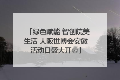 绿色赋能 智创皖美生活 大阪世博会安徽活动日盛大开幕