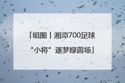 组图丨湘潭700足球“小将”逐梦绿茵场
