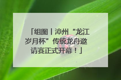 组图丨漳州“龙江岁月杯”传统龙舟邀请赛正式开幕！