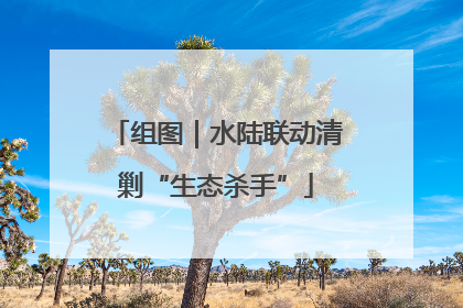 组图｜水陆联动清剿“生态杀手”