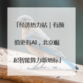 经济热力站｜有颜值更有AI，北京崛起智能算力新地标