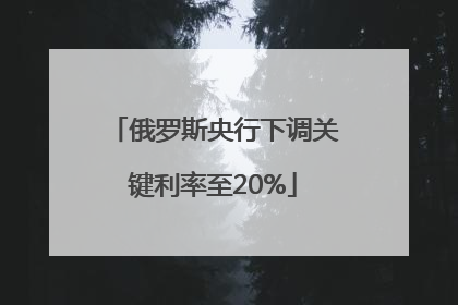 俄罗斯央行下调关键利率至20%