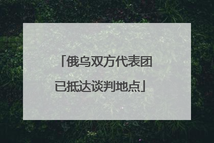 俄乌双方代表团已抵达谈判地点