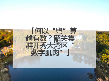 何以“粤”算越有数？韶关集群开秀大湾区“数字肌肉”